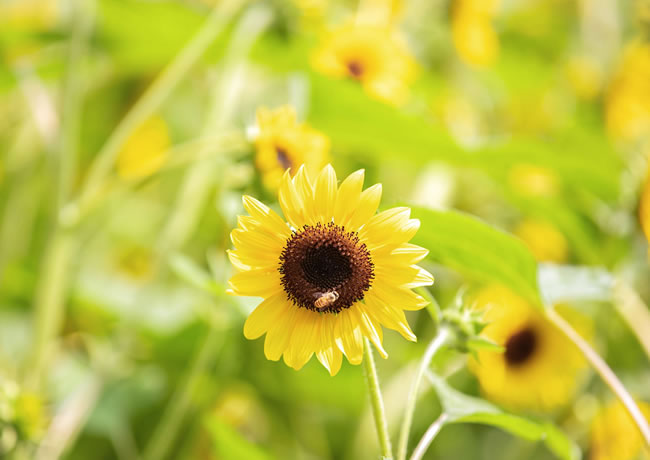 新闻相关标题5【后台可添加、修改、删除】