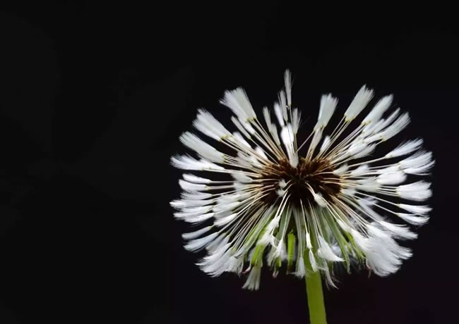 新闻相关标题1【后台可添加、修改、删除】