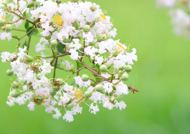 工程案例标题9【后台可添加、修改、删除】