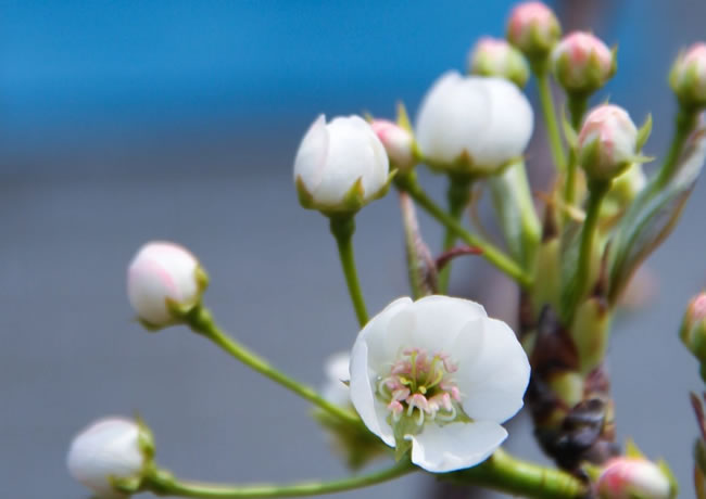 行业资讯相关标题信息1【后台可修改、添加、删除】