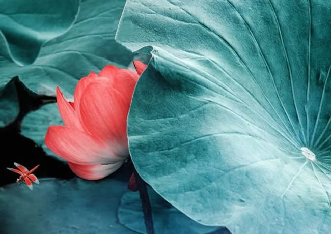 新闻相关标题10【后台可添加、修改、删除】