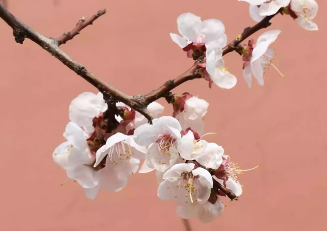 新闻相关标题6【后台可添加、修改、删除】