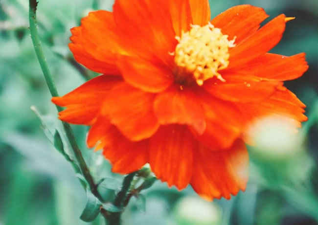 新闻相关标题2【后台可添加、修改、删除】